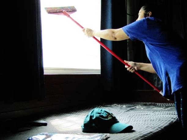 Naturally Clean Safe, Non-Toxic Cleaning for Modern Homes