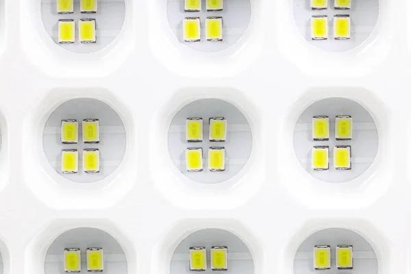 Custom Pet Grooming Styles Available in Port St. Lucie