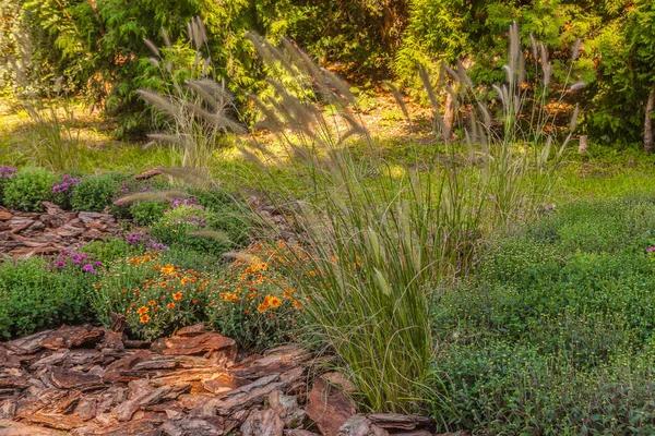 Trusted Casselberry Landscaping Contractors Today