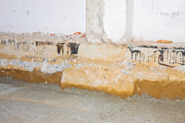 Why You Need Crawlspace Waterproofing in Wilmington Today