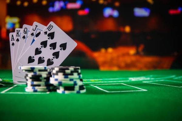 Les Plateformes Recommandées pour Débutants