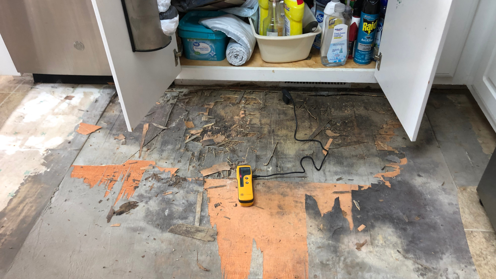 Top Reasons Homeowners Need Water Damage Repair in Oregon City