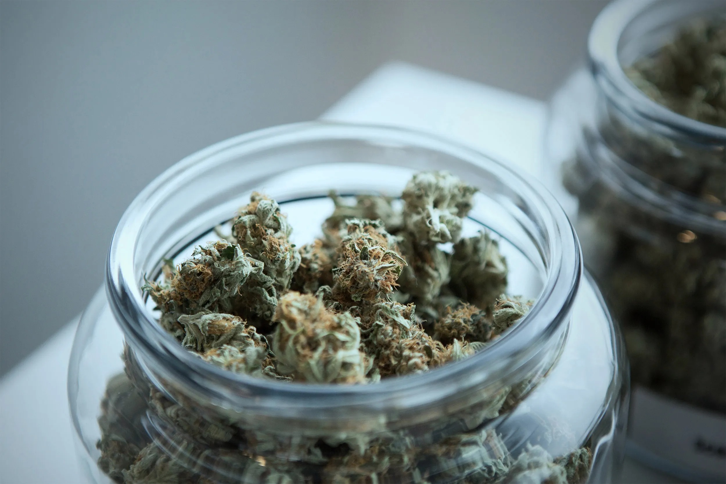 Find Quality Cannabis Near You With Wiet Kopen Gent and Local Buying Insights
