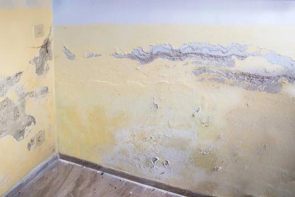 Reliable Water Damage Cleanup in Mesa