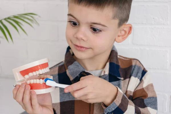 Professional Denver Pediatric Dentist for Long Lasting Oral Health